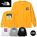ザ・ノース・フェイス NT32344・ロングスリーブスリーブグラフィックティー(メンズ) / L/S Sleeve Graphic Tee【30%OFF】【長袖...