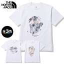 現品特価(J)ノースフェイス NT12211・ショートスリーブウォールズティー(メンズ)/Short Sleeve Walls Tee【35％OFF】