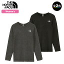 (T)ザ・ノース・フェイス NT62313・エクスペディションホットクルー(レディース・WMサイズ) / Expedition HOT Crew【ウィメンズ】【...