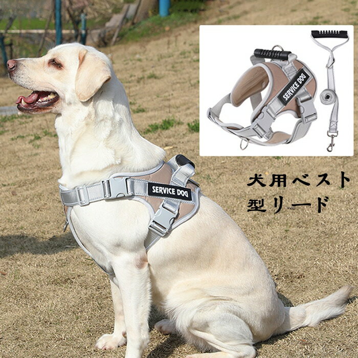 犬のリードベストスタイル中型および大型犬ゴールデンレトリバーラブラドール子犬ハーネス犬の散歩ロープ犬チェーン