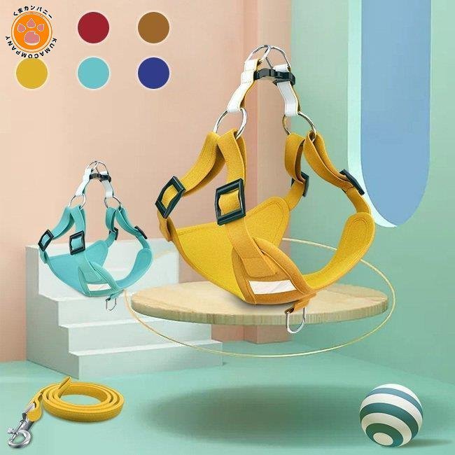 ハーネスリード リード ハーネス 2点セット 反射 胴輪 犬服 セットアップ 小型犬 ドッグウェア