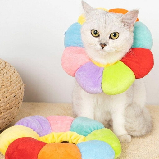 メガ割エリザベスカラー ソフトタイプ 猫用 猫用品 猫グッズ 犬用 犬用品 犬グッズ ペット用品 エリザベ1630 メガ割エリザベスカラー ソフトタイプ 猫用 猫用品 猫グッズ 犬用 犬用品 犬グッズ ペット用品 エリザベ1630