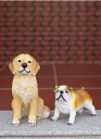 置き物 犬像 ワンちゃん 田園風 インテリア 置物 樹脂製 装飾品 かわいい動物 オブジェ 彫刻 ホーム オフィス ホール ホテル 喫茶店 お店 レストラン 玄...