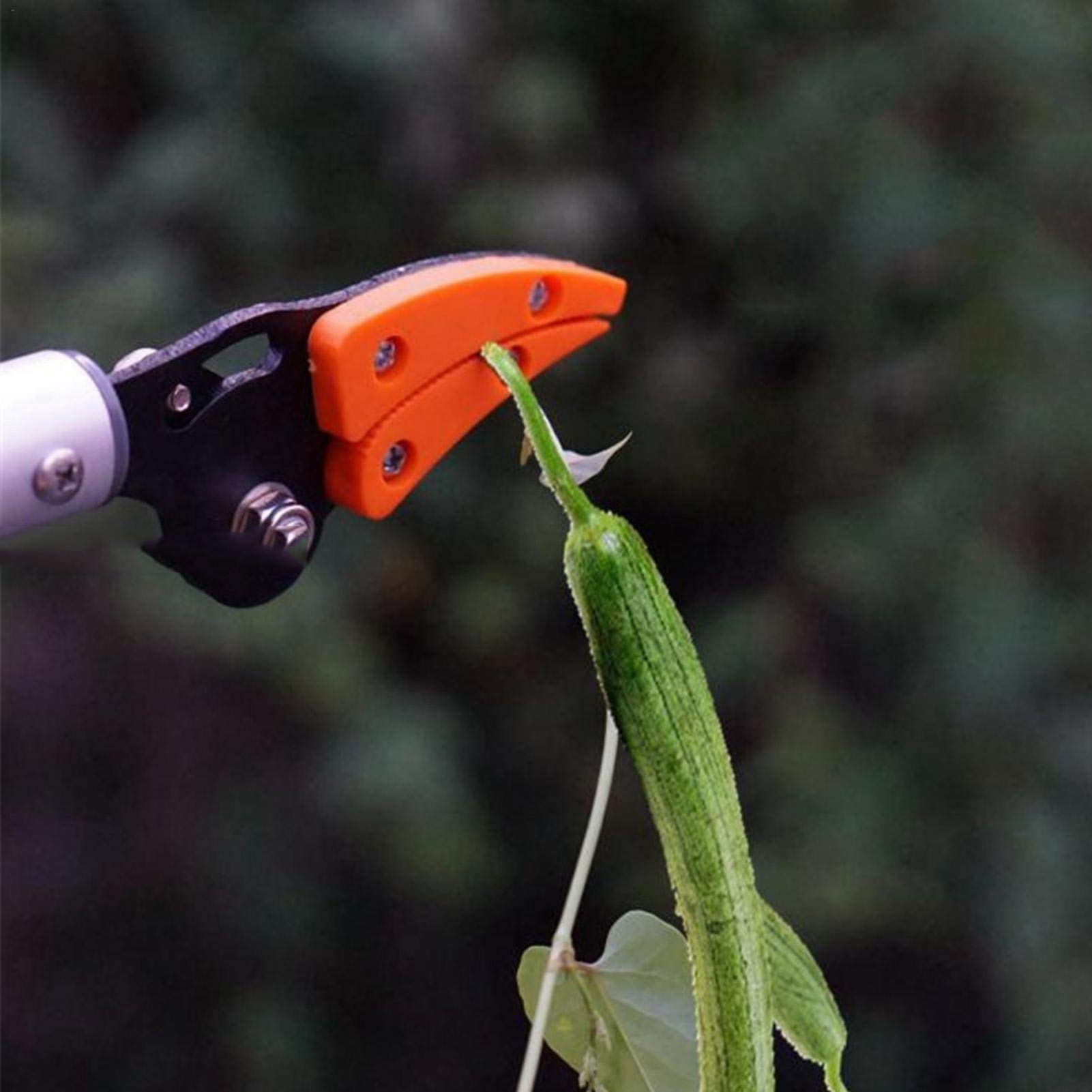 Allystyle 高枝切バサミ 高枝鋏採集タイプロング 超軽量 使いやすい 剪定 果実 採取 高枝切鋏 ガーデニ..