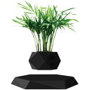 植木鉢、多肉植物フローティング、エア盆栽、ホームオフィス/デスク装飾フローティング装飾、寝室、オフィス (C)