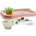 亀の水槽 亀 水槽 大型水槽台 特大 亀飼育ケース カメ用水槽 大きい カメ ボックス タートルタンク 日向ぼっこ台 ミドリガメ クサガメ スッポン 観察 階段...