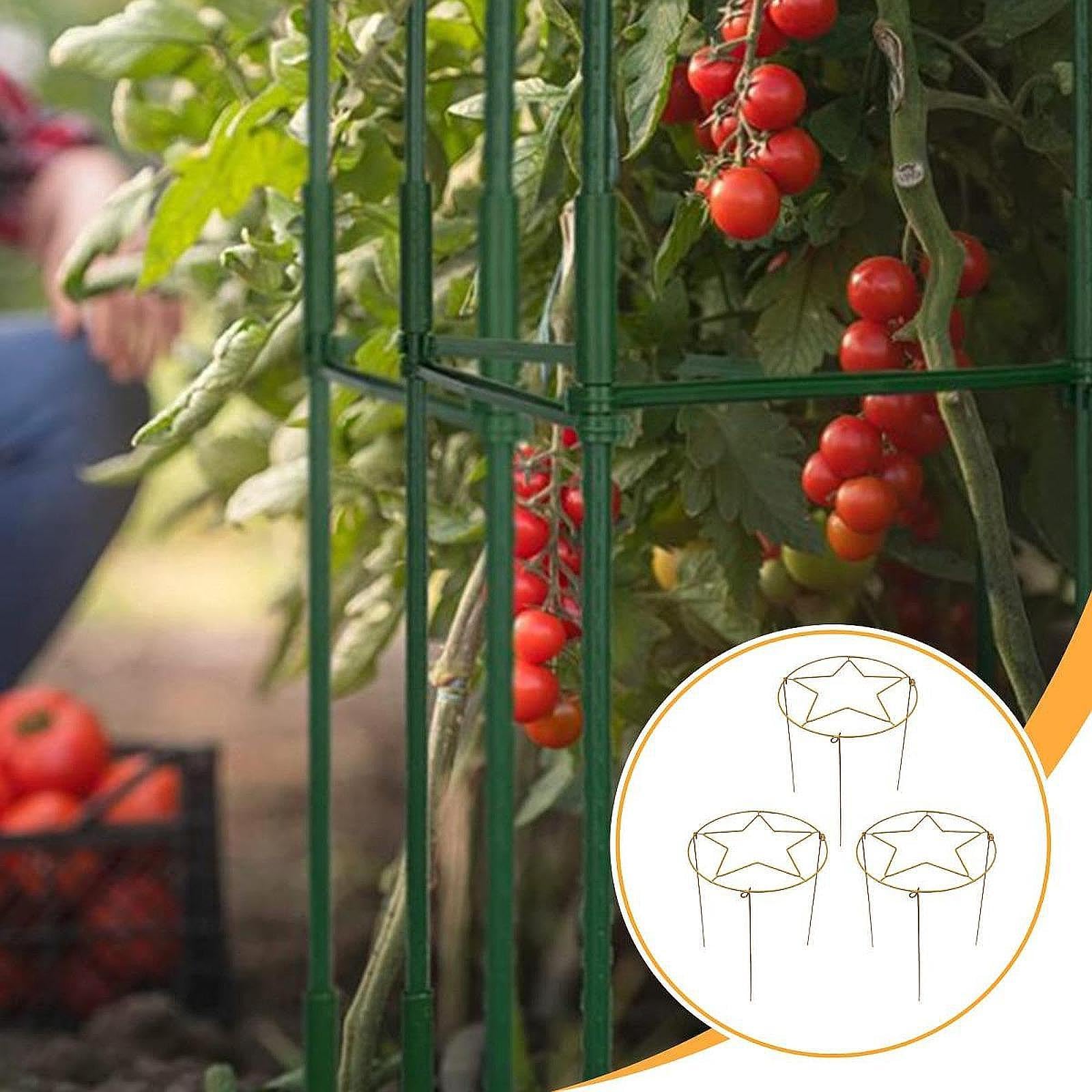 個 植物支柱 メタルフレーム クライミングホルダー トマト ユリ ガーデン アイビー, ゴールデン