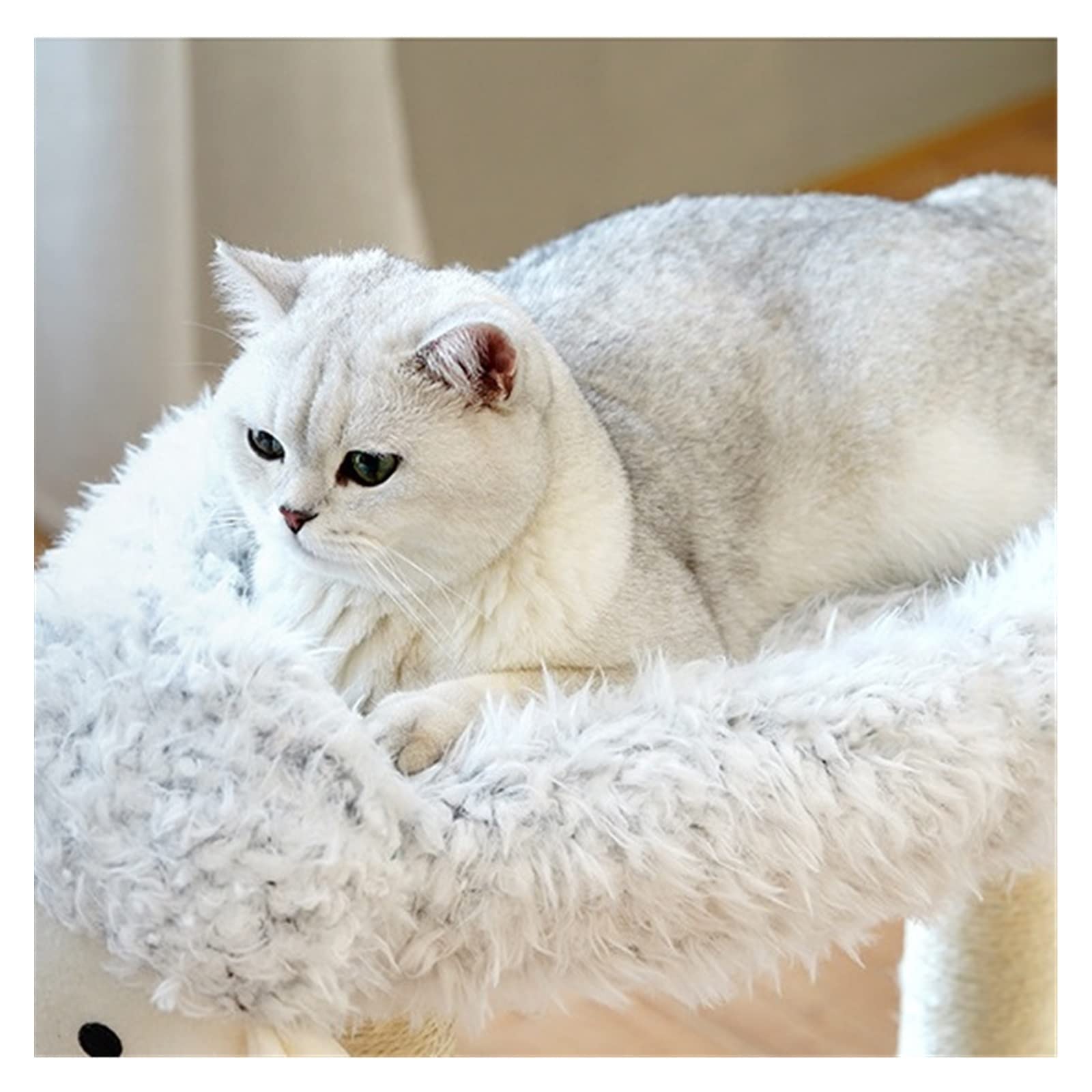 猫の登山フレーム 猫砂、猫ベッド、猫登山フレーム、猫砂、猫の木、一体型猫玩具、猫引っかきポスト、..