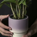 プランター 植木鉢 おしゃれ 鉢植え 花 栽培 プレゼント ギフト 母の日 通販 水やり かわいい ガーデニング 排水 植木鉢 受け皿付き 乾燥防止 おしゃれ ...