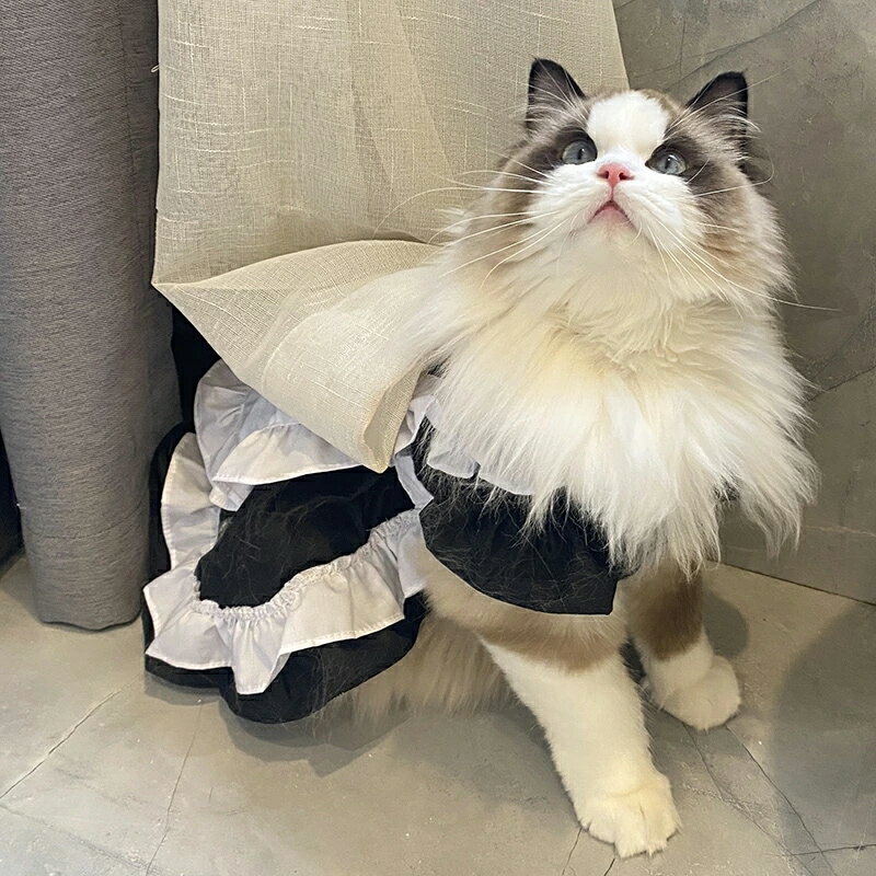 ハロウィン メイド コスプレ 猫 犬 コスプレ コスチューム メイド服 ワンピース レース お姫様 フリル ドレス 猫用 犬用 メイド服 ペット服 犬服 中型犬 大型犬 コスチューム ロリータ服 コス