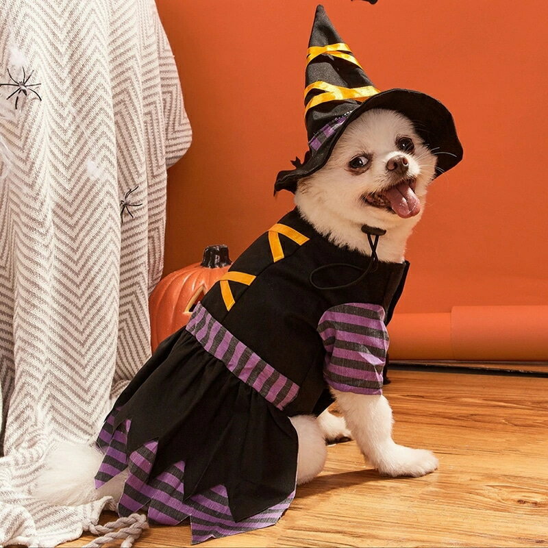 ハロウィン コスプレ ペット用 ワンピース 帽子付き 魔女 ペット服 コスプレ 可愛い 仮装 猫 犬 コスプレ 猫服 コスチューム コスプレ衣装 ペット服 犬服 猫服 おもしろい 小型犬 超小型犬 ワ