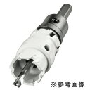 ハウスBM ドッチーモ超硬ホルソー(回転用) SDSタイプ フルセット DH-31Z 刃先径:31mm 両刃仕様