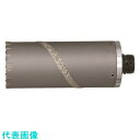 ハウスBM ドラゴンALCコアドリル(回転用) ボディのみ 210φ ALB-210