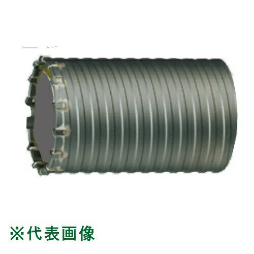 ハウスBM ハンマーコアドリル(打撃・回転用)(ハンマードリル用) ボディのみ 55φ HCB-55