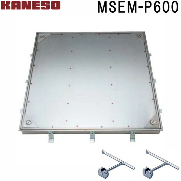 ͥեϥåĥʪ̩ķ(ɿ塦ɽ)ƥ쥹MSEM-P(֡MSEM-P 600 ϥɥ)ˡ͡Ƚ,ľ