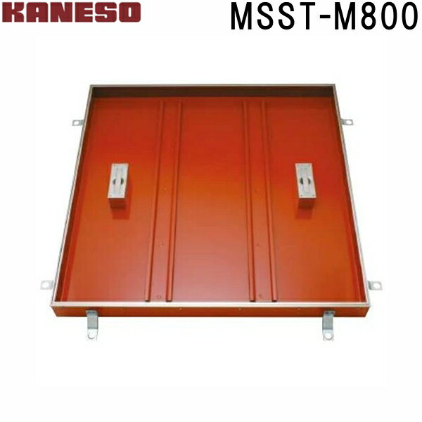 ͥեϥåŶѰ̷ƥ쥹ϡMSST-M(֡MSST-M 800 )ˡ͡Ƚ,ľ