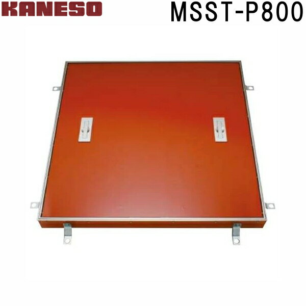 ͥեϥåĥʪѰ̷ƥ쥹ϡMSST-P(֡MSST-P 800 )ˡ͡Ƚ,ľ