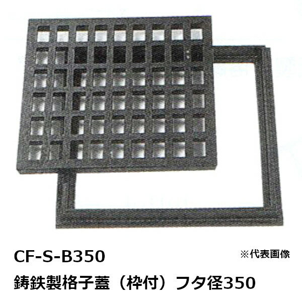 ˡŹ CF-S-ե350 Ŵʻҳա CF-S ե350 ž夲  ۤ 졼 GRATIN...