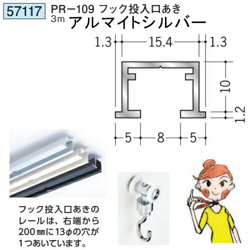 創建 SOKEN 57117 アルミ ピクチャーレール ビス止めタイプ PR-109フック投入口あ...