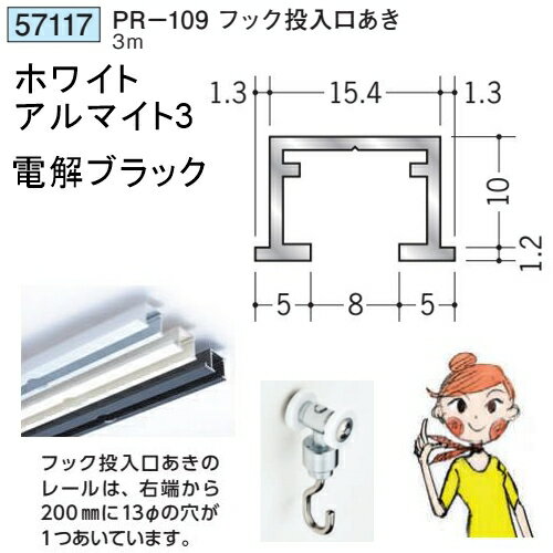 創建 57117-3m アルミ ピクチャーレール ビス止めタイプ　PR-109フック投入口あき ...