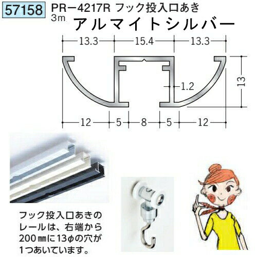 創建 SOKEN 57158 アルミ ピクチャーレール ビス止めタイプ PR-4217Rフック投入ロ...