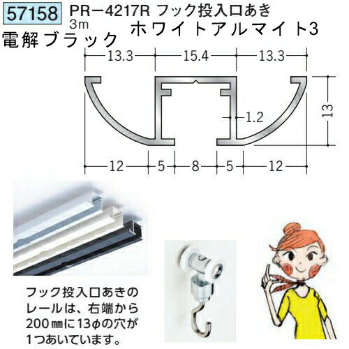 創建 57158-3m アルミ ピクチャーレール ビス止めタイプ　PR-4217Rフック投入ロあき 長さ：3m 色：ホワイトアルマイト3・電解ブラック 　個数：1個　送料無料　★法人様限定