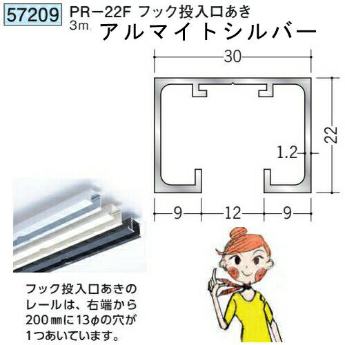 創建 SOKEN 57209 アルミ ピクチャーレール PR-22Fフック投入ロあき 長さ：3m 色：...