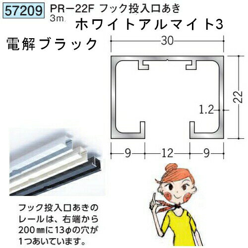 創建 57209-3m アルミ ピクチャーレール ビス止め 後付けタイプ　PR-22Fフック投入ロあき 長さ：3m 色：ホワイトアルマイト3・電解ブラック 　個数：1個　送料無料　★法人様限定