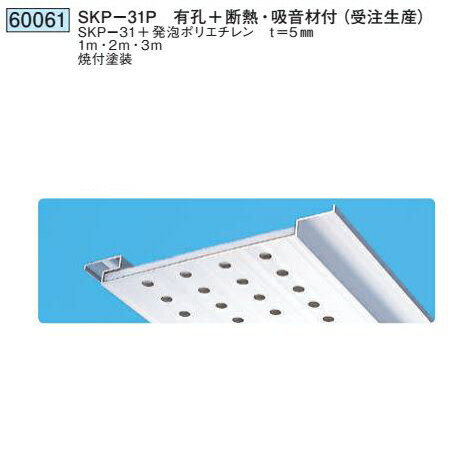 創建 60061-2m アルミスパンドレルSK　有孔・吸音　SKP-31P 長さ：2m 焼付塗装 色...
