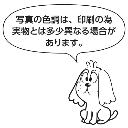 創建 71021 アルミ天井点検口 額縁タイプ　Superリーフ303ツートーンWBツートーン ...