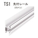 先付レール2400 フィッティングハンガー TS1 「直送品、送料別途見積り、法人・事業所限定」【大型】