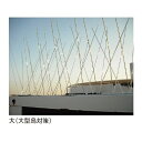 アンテックスパイク 大 12.5m「直送品、送料別途見積り、法人・事業所限定」