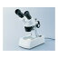 AS　双眼実体顕微鏡ST30RDL10～20× （品番:2-4074-11）（注番1005527）・（送料別途見積り,法人・事業所限定,取寄）