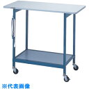 AS ニューラボベンチ・ワイドA型 (品番:3-4038-01)(注番1021804)・(送料別途見積り,法人・事業所限定,取寄)