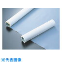chukoh フッ素樹脂(PTFE)フィルム MSF-100 0.2t×300w×10m (品番:MSF100-0.2X300)(注番1057501)