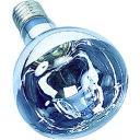 ハタヤ リフレクターランプ300W (RC、RE、RG型用) (品番:RS-300WH)(注番1062026)