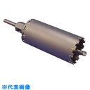 デンサン ダブルコア80mm (品番:WC-80)(注番1127300)・(送料別途見積り,法人・事業所限定,取寄)