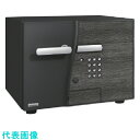 エーコー テンキー式耐火金庫 (品番:DFS2-E)(注番1132572)・(送料別途見積り,法人・事業所限定)【大型】