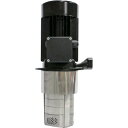 TERAL 多段浸漬型クーラントポンプLBK 口径20mm (品番:LBK2-90/4-E)(注番1147504)・(法人・事業所限定,直送元)(4)