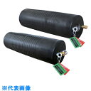 Hoshin 止水ボール ロングタイプ 750-1500 バイパス付 (品番:PL750-1500BA)(注番1251704)・(送料別途見積り,法人・事業所限...