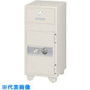 ナイキ 耐火金庫(投入式) (品番:ZS20PDN)(注番1253384)・(送料別途見積り,法人・事業所限定)【大型】