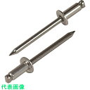 エビ ブラインドリベット(ステンレス/ステンレス製) 5-4(1000本入) 箱入 (品番:NST54)(注番1259466)
