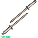 エビ ブラインドリベット(ステンレス/ステンレス製) 5-6(1000本入) 箱入 (品番:NST56)(注番1259521)
