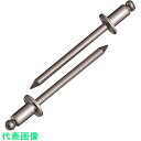 エビ ブラインドリベット(ステンレス/ステンレス製) 6-3(1000本入) 箱入 (品番:NST63)(注番1259610)
