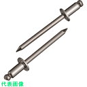 エビ ブラインドリベット(ステンレス/ステンレス製) 6-4(1000本入) 箱入 (品番:NST64)(注番1259644)