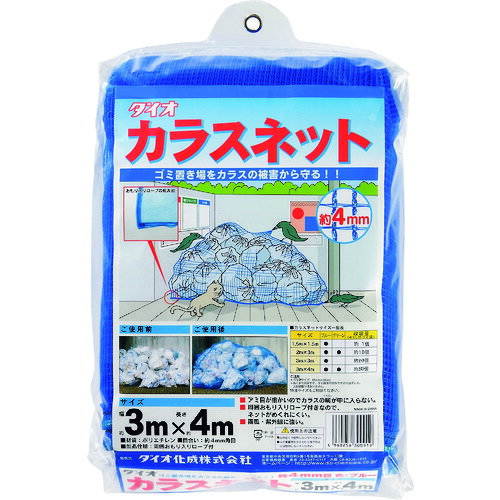 Dio饹ͥåȡġ3m4m 6ա:300919ˡ12713276]ӸѤ,ˡ͡Ƚ,