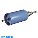 ボッシュ ガルバウッドコアカッター105mm (品番:PGW-105C)(注番1289237)・(送料別途見積り,法人・事業所限定,取寄)