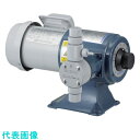 エレポン化工機 ダイヤフラムポンプ 単相100V 100W 屋内 接続口径15Aフランジ (品番:CR-3-2N-6PS-FD/FD-1S)(注番1294143)・(送料別途見積り,法人・事業所限定)【大型】(4)