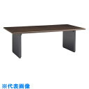 ライオン 会議用テーブル DP-2412 (品番:49194)(注番1343564)・(送料別途見積り,法人・事業所限定)【大型】
