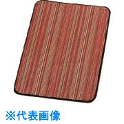 TKGڡޥåȡĹѡ磻 :PAIB206ˡ1378602ˡӸѤ,ˡ͡Ƚ,